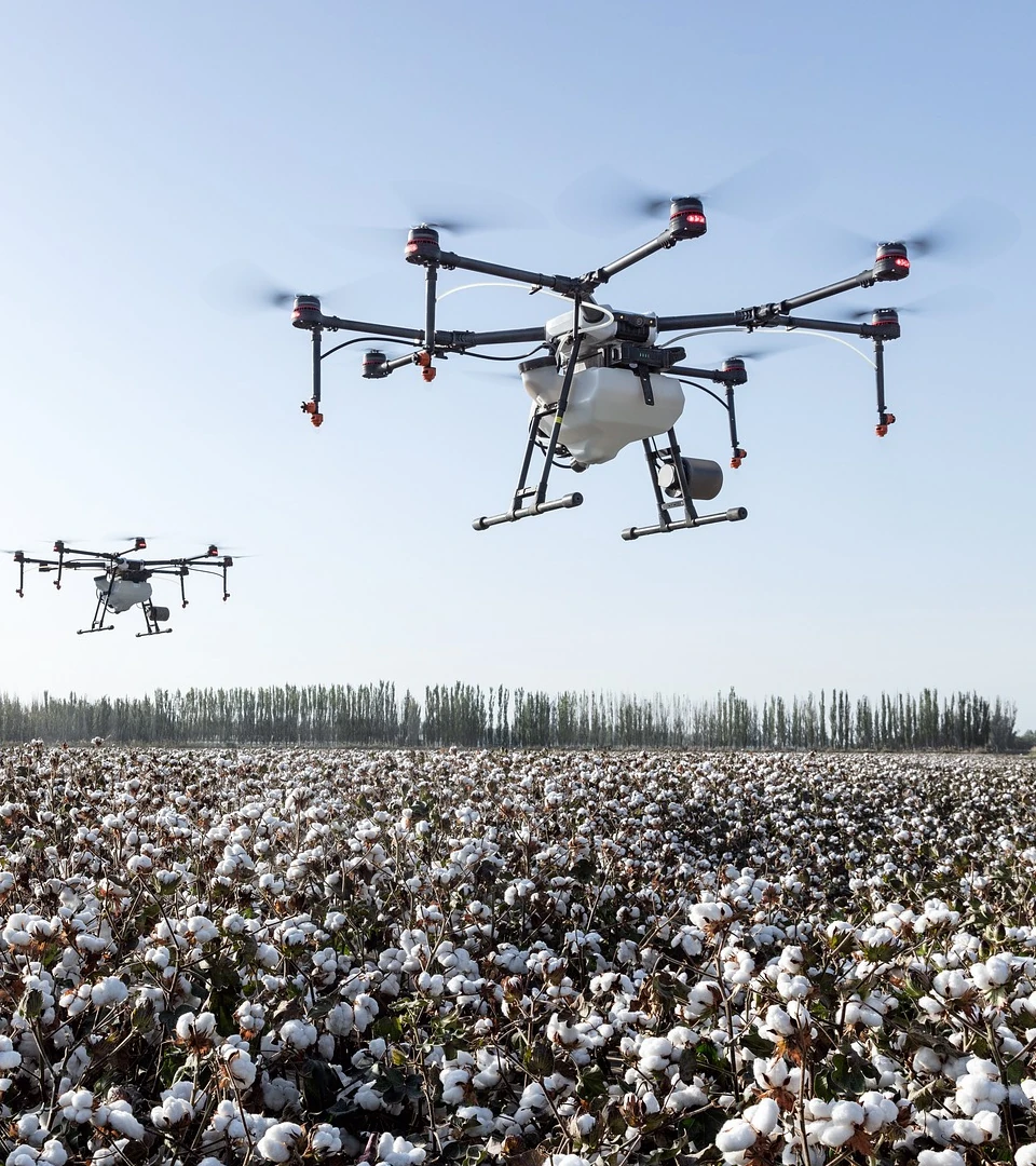 243 completed projects